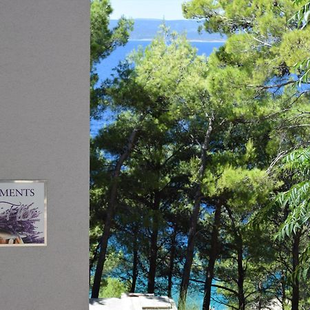 Apartments La Flor بريلا المظهر الخارجي الصورة